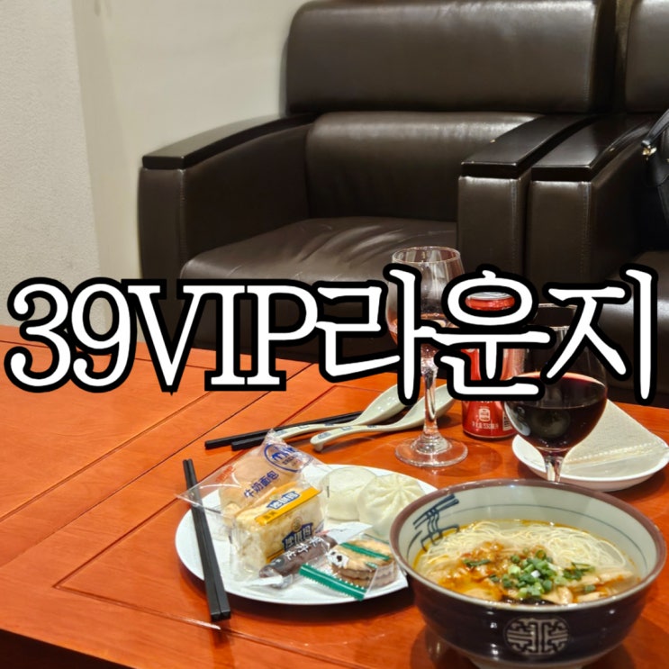  중국상하이 푸동공항 39 AVNEX VIP 라운지