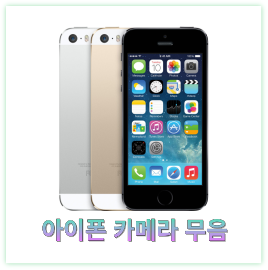 아이폰 카메라 무음 설정 완벽 가이드: 현실적인 방법과 대안