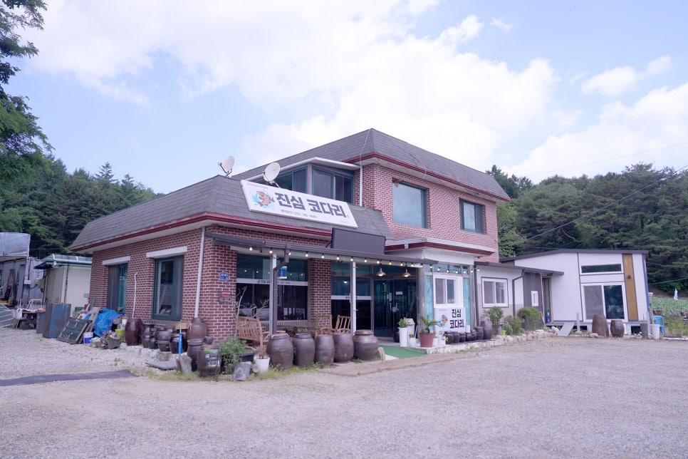 진심코다리 사진 2