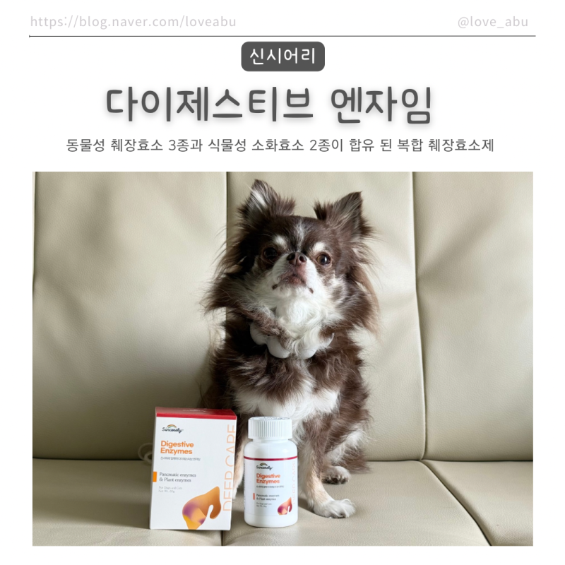 [제품제공] 강아지영양제 - 복합 췌장효소제 "신시어리 다이제스티브 엔자임"