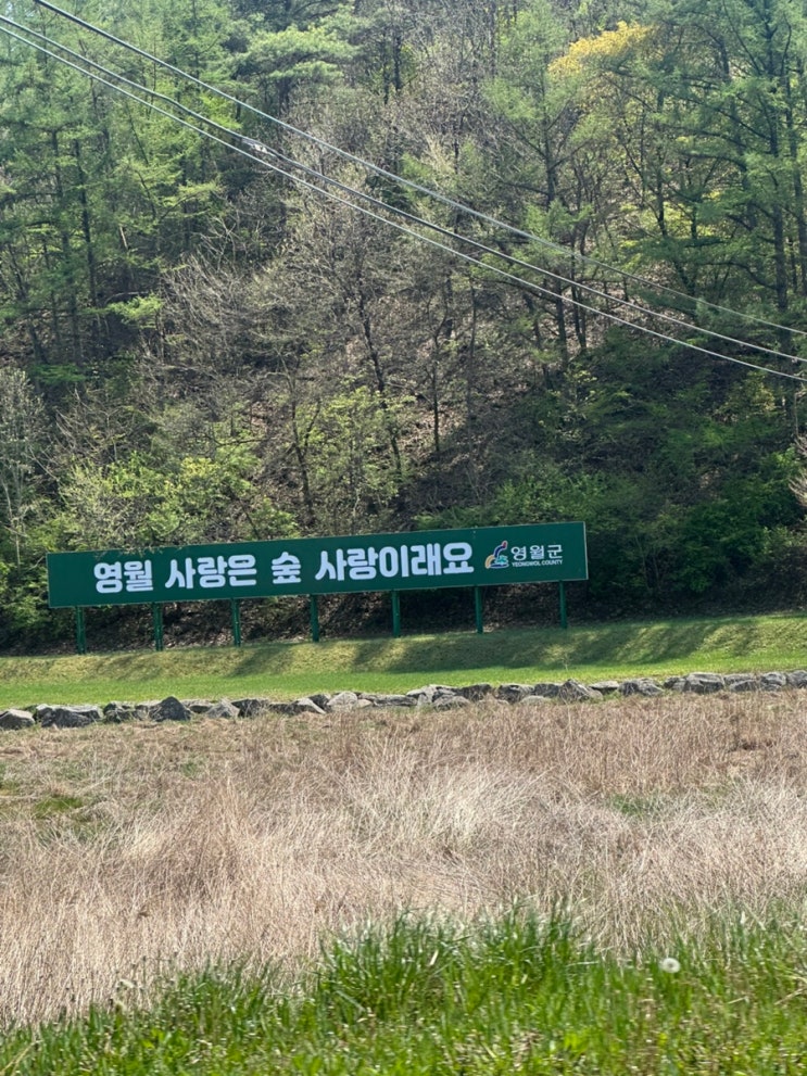  [2025.3월 - 4월] 봄은 시작의 계절.