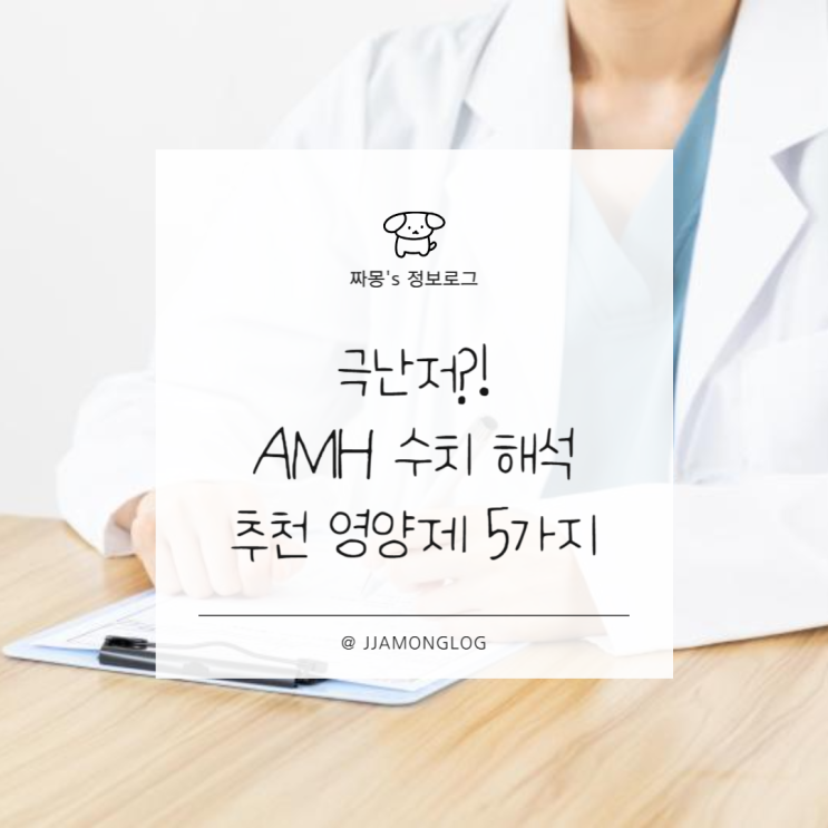  [임신정보] AMH 수치 해석 + 극난저 추천 영양제 5가지 (최신 연구 기반 정리)