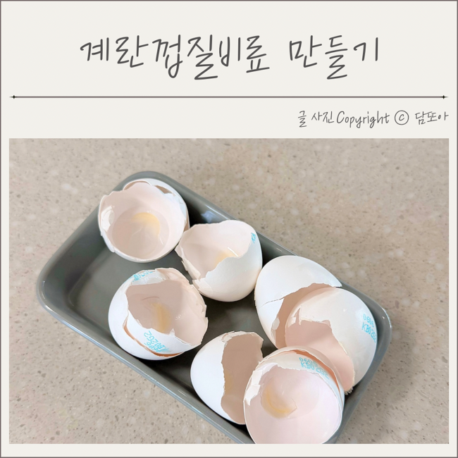  계란껍질 분리수거 하는법 계란껍질 활용 천연비료 만들기
