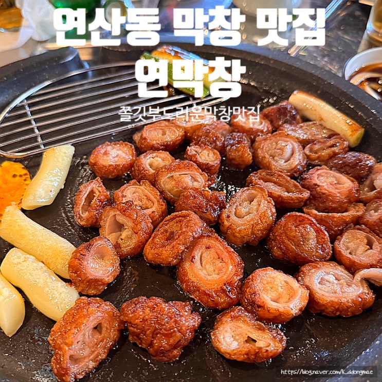 연산동 막창 맛집 연막창 대구3대 막창 찐으로 맛있었던 후기