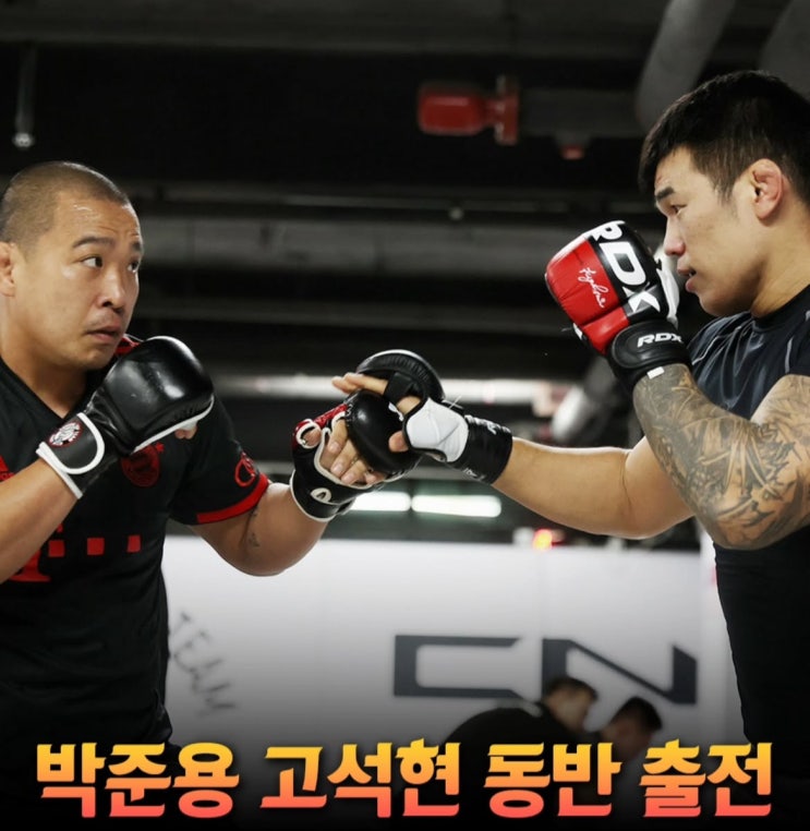 [<b>UFC</b>] 'KO'<b>고석현</b>,'아이언터틀' <b>박준용</b> 동반 승리 가능 할까?
