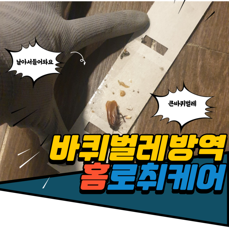 식당 방역을 받아도 바퀴벌레가 보인다면 실패의 원인과 퇴치방법