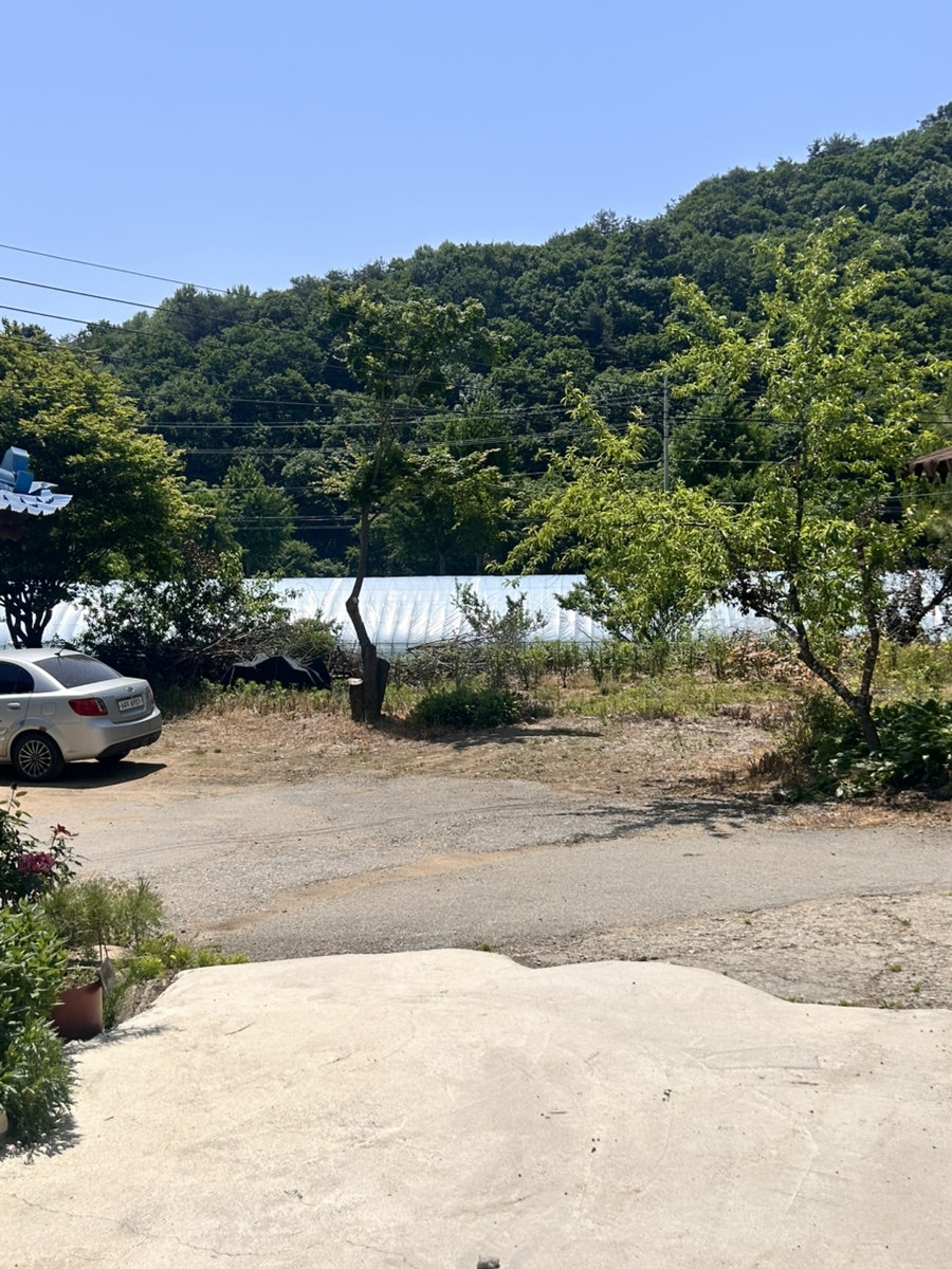 유목정막국수 사진 4