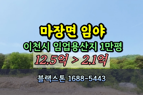  이천시 마장면 임야 경매 1만평 임업용산지 2억