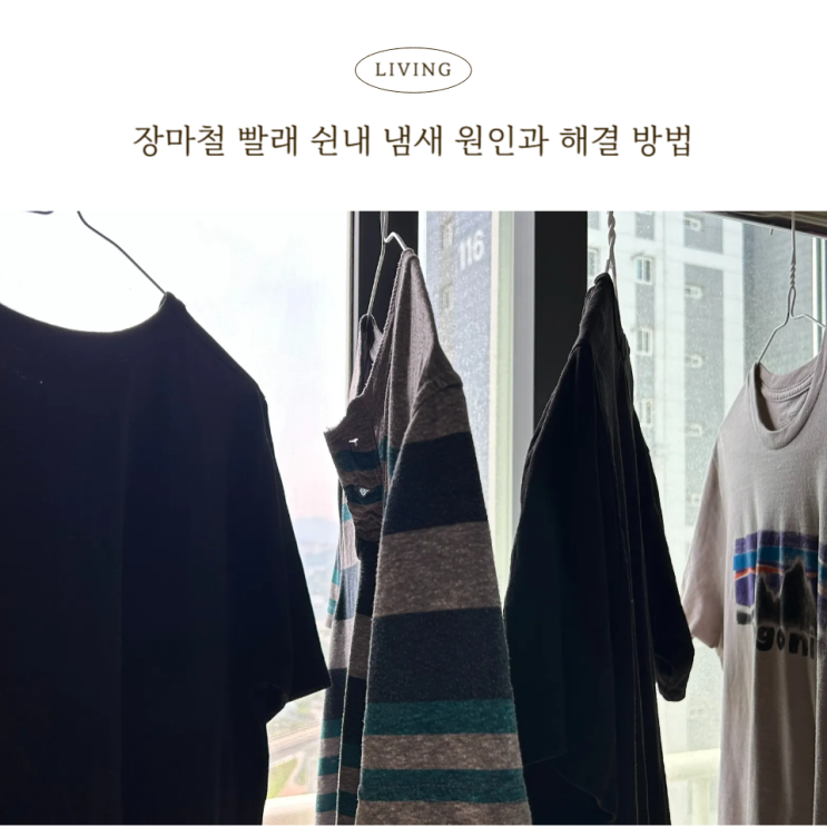  장마철 빨래 쉰내 같이 돌렸는데 왜 얘만? 실내건조 냄새 원인과 해결방법