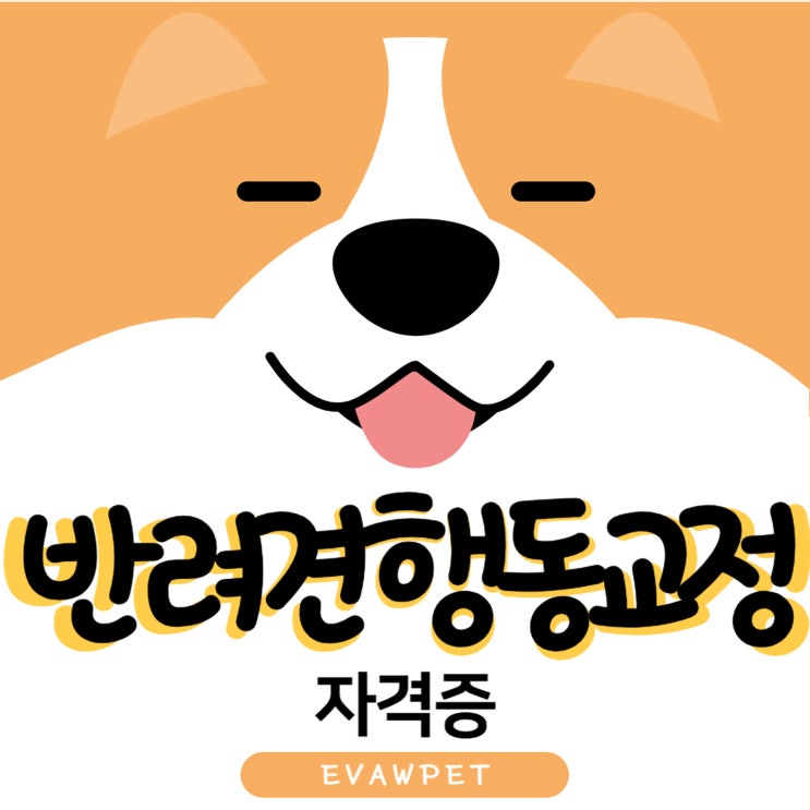  반려견행동지도사, 전문성을 갖춘 진로의 시작