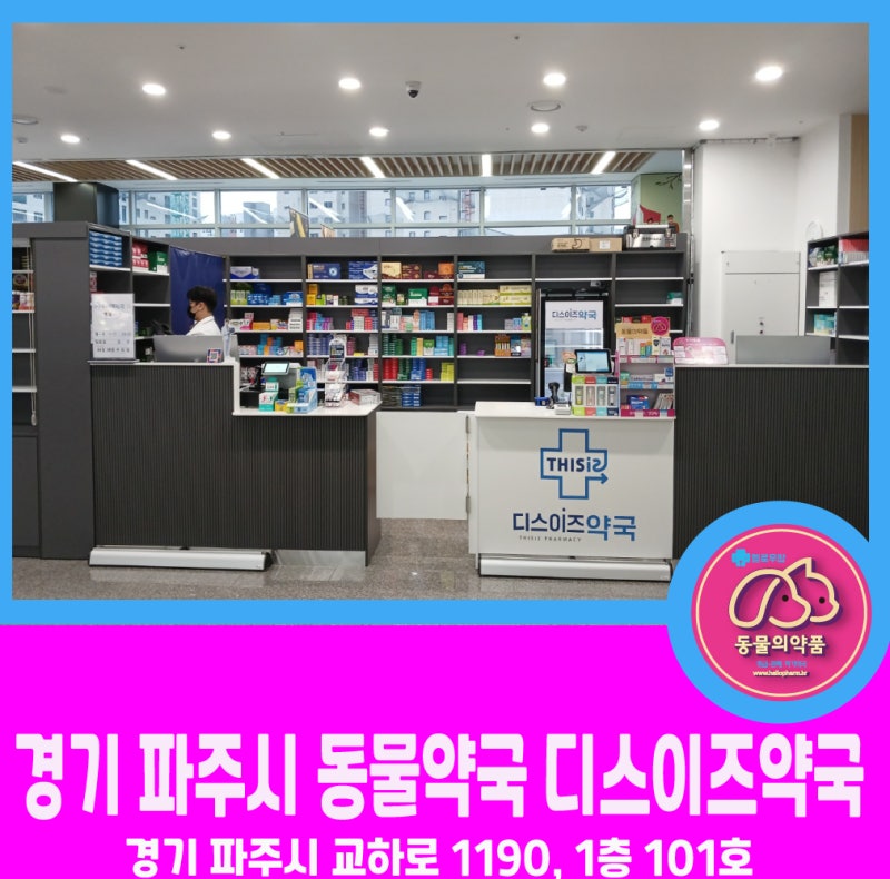 디스이즈