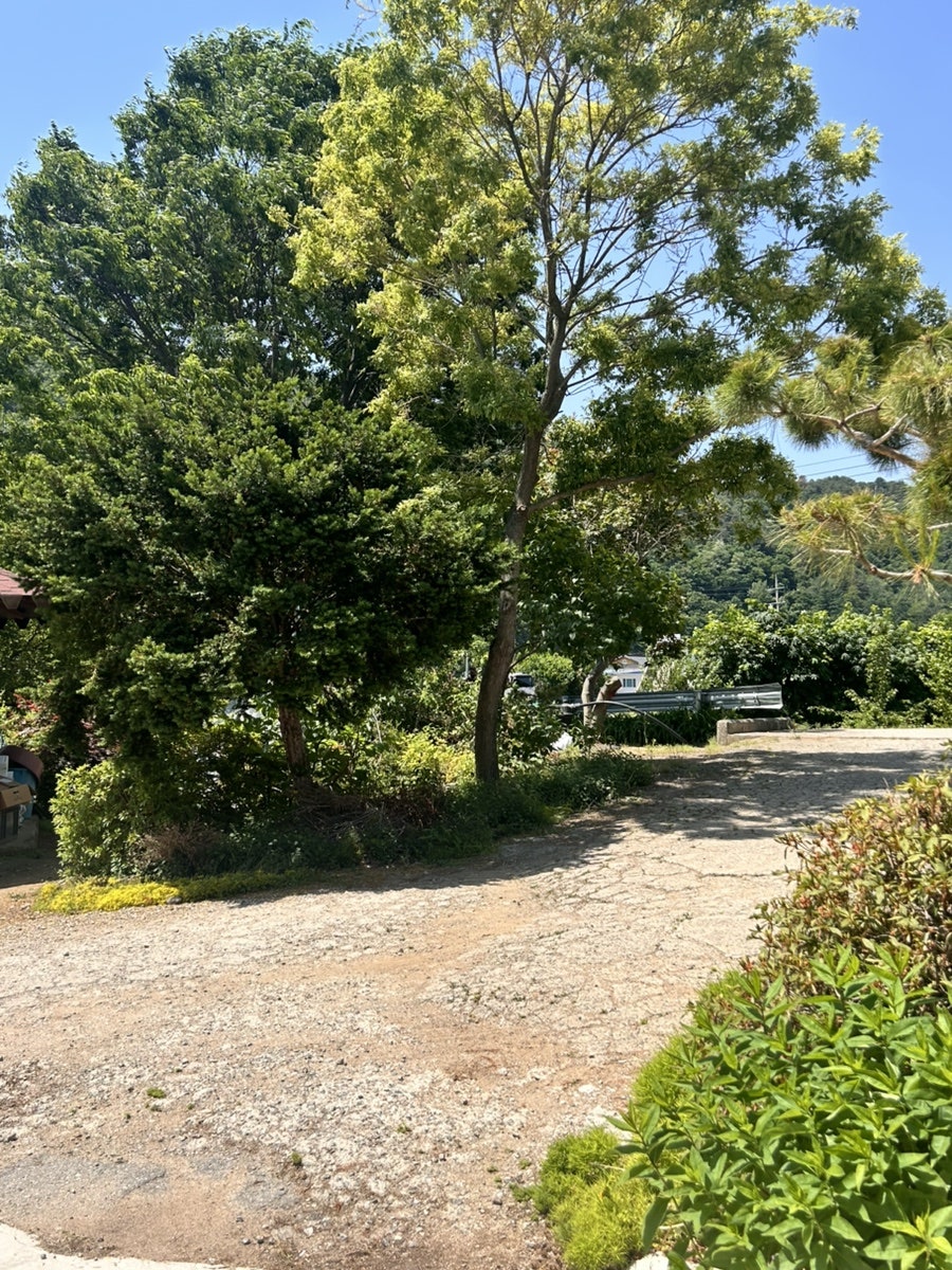 유목정막국수 사진 2