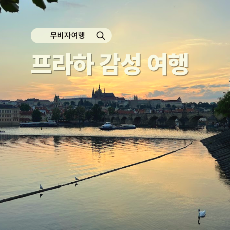  여권만 챙기면 끝! 무비자로 떠나는 프라하 감성 여행