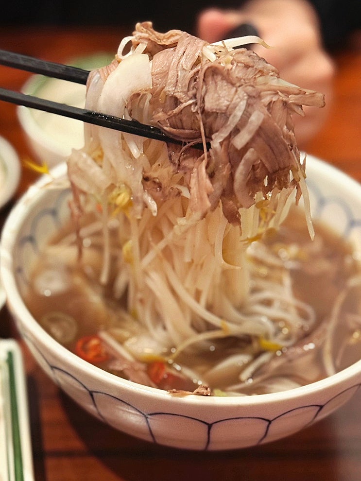  마곡 쌀국수 맛집 넴넴 분짜 스프링롤 다 맛있어!