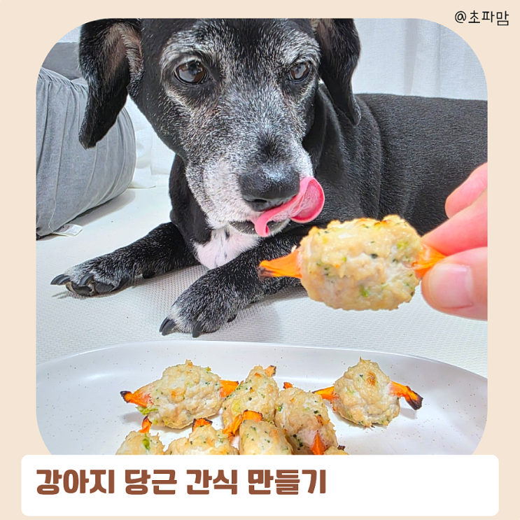 강아지 당근 간식 닭가슴살 말이 만들기