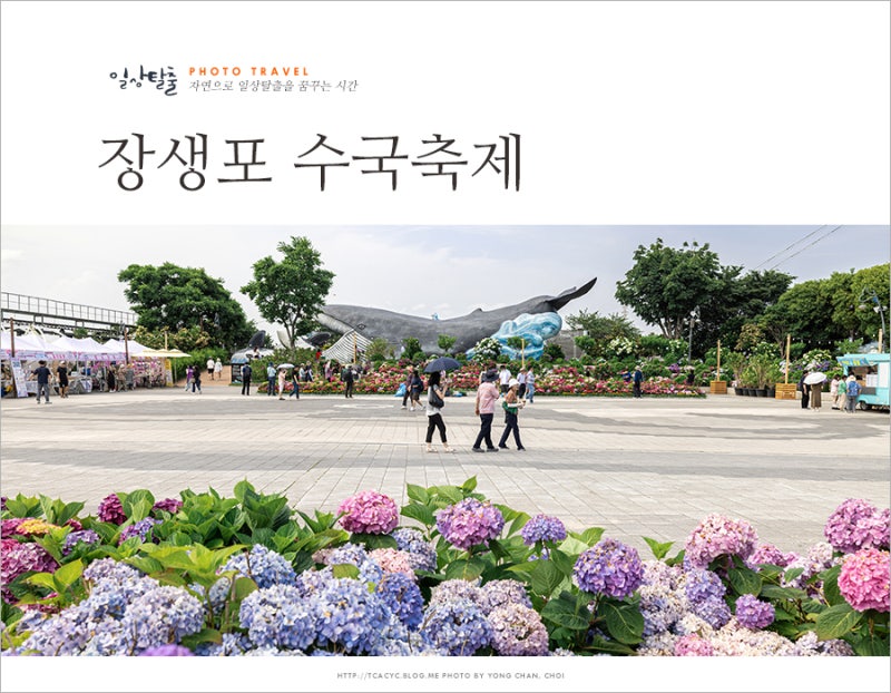 사진 9