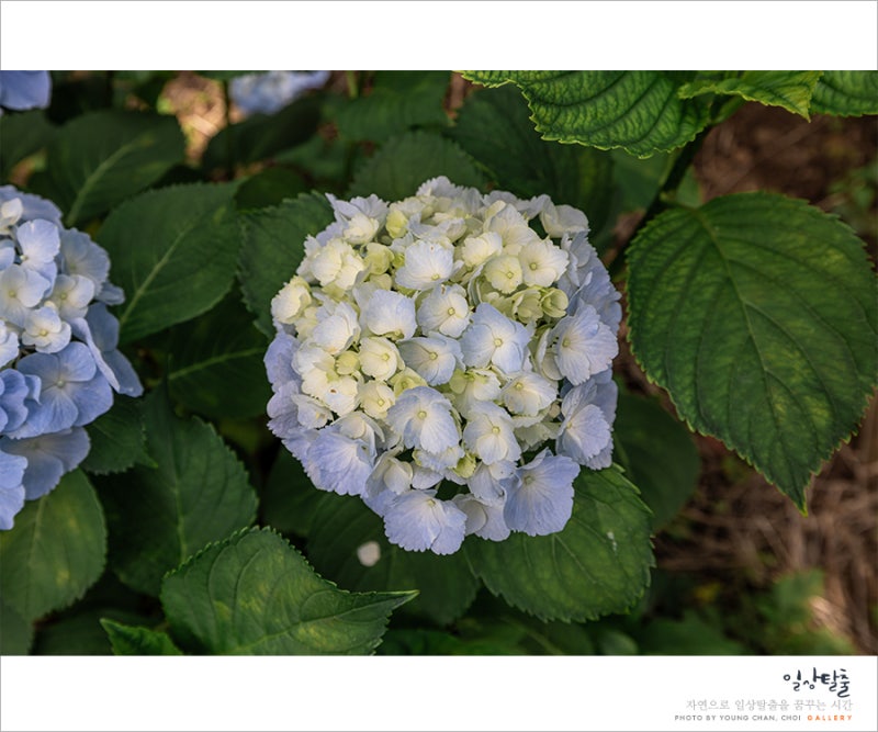 사진 10