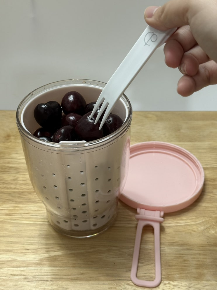  이동 세척 간편하게 다이어트 샐러드 과일 도시락 케어프린 후르츠팟