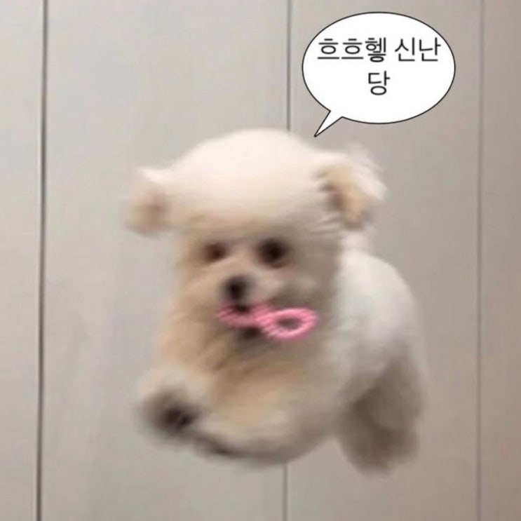  36주차 예비맘이 직접 언박싱한 ‘페넬로페 더 퍼스트 박스’ 구성&후기