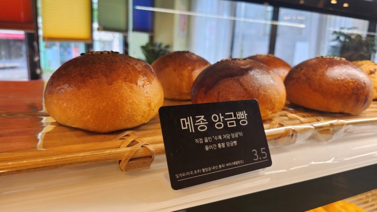  제주빵맛집 메종 드 쁘띠푸르, 디저트까지 완벽후기!