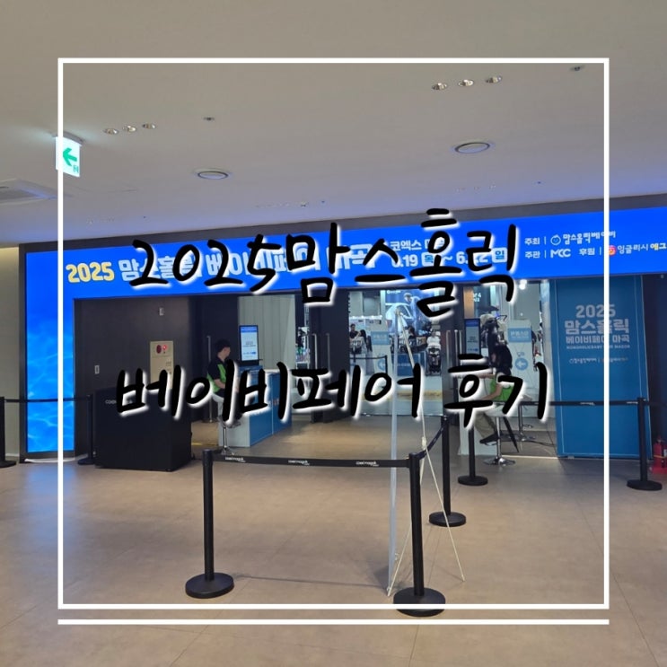  2025 맘스홀릭 베이비페어 마곡 방문후기 부스배치도
