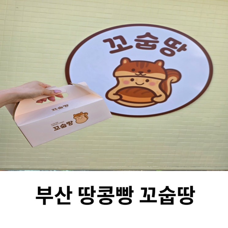  부산 땅콩빵 파는곳 전포카페거리 서면 디저트 카페 꼬숩땅