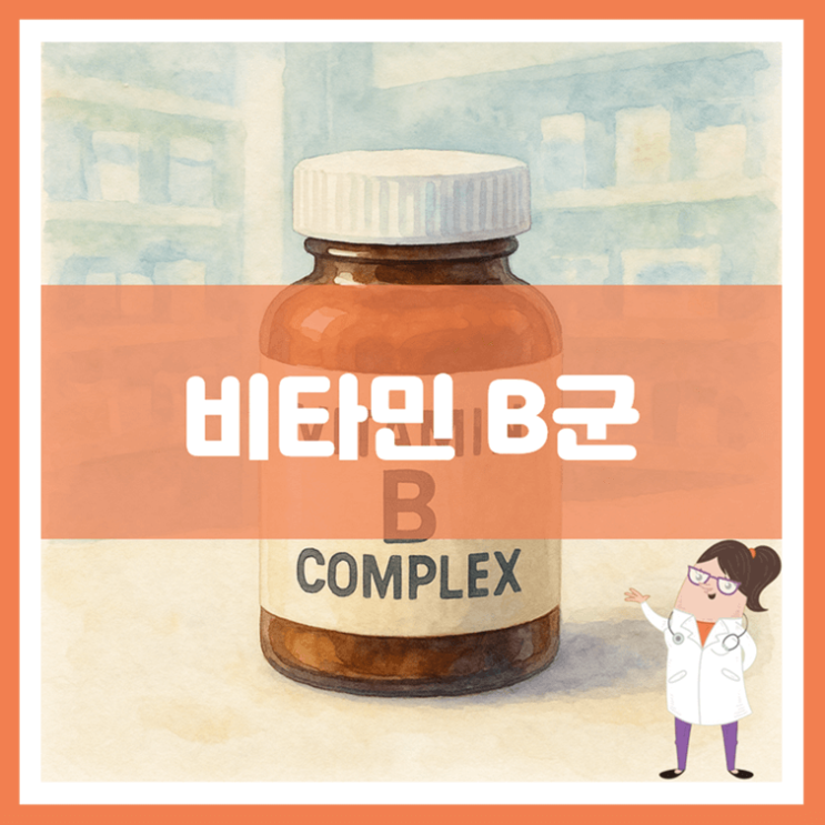  비타민 B군 효능 섭취방법 부작용