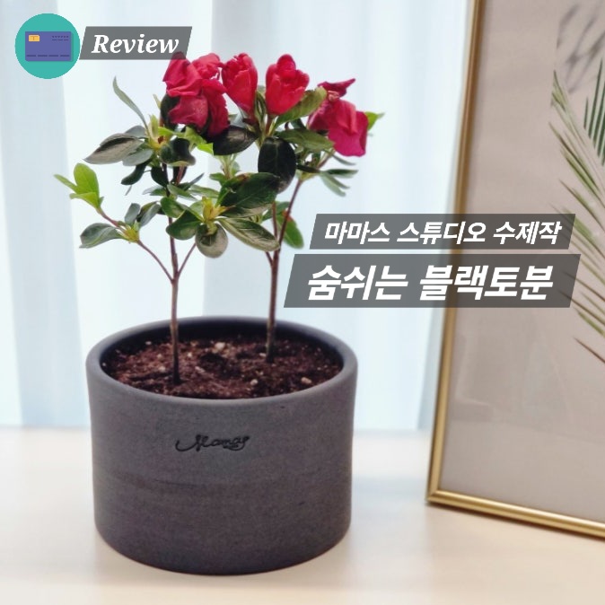  토분추천 블랙토분 숨쉬는 수제화분 장점