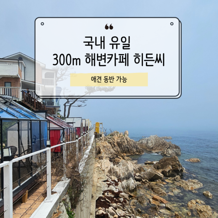  히든씨 감포 국내 유일 해수욕과 스노쿨링 가능한 300m 해변카페