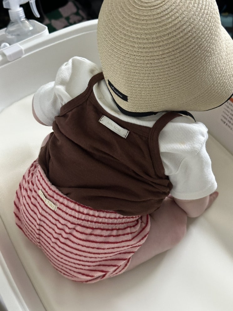 이유식 시작한 나의 꿀꿀강아지