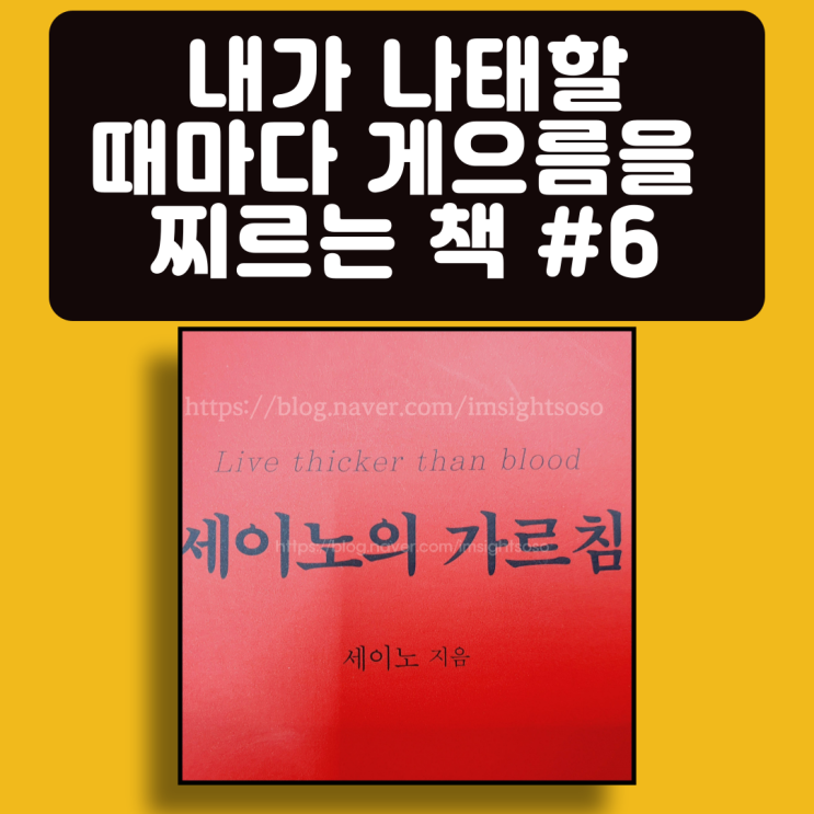  세이노의 가르침, 세이노, 게으름 극복 필독서, 자기계발 책추천: 내가 나태할 때마다, 게으름을 찌르는 책 #6