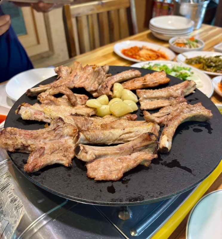  용인 애견동반 식당 추천｜양지면 맛집 한터시골농장 내돈내산 후기