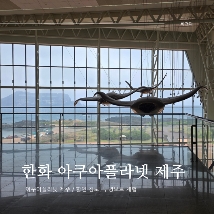 한화 아쿠아 플라넷 제주 / 할인, 투명보트
