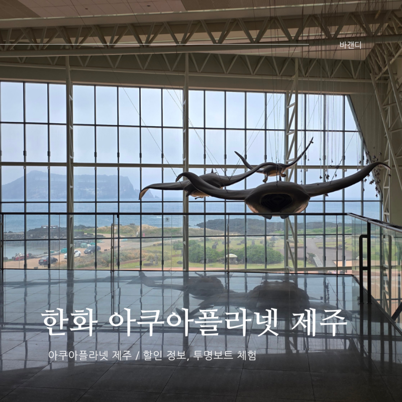 한화 아쿠아 플라넷 제주 / 할인, 투명보트