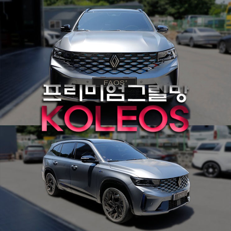 그랑콜레오스 프리미엄 그릴망 작업하고 라디에이터 보호하기