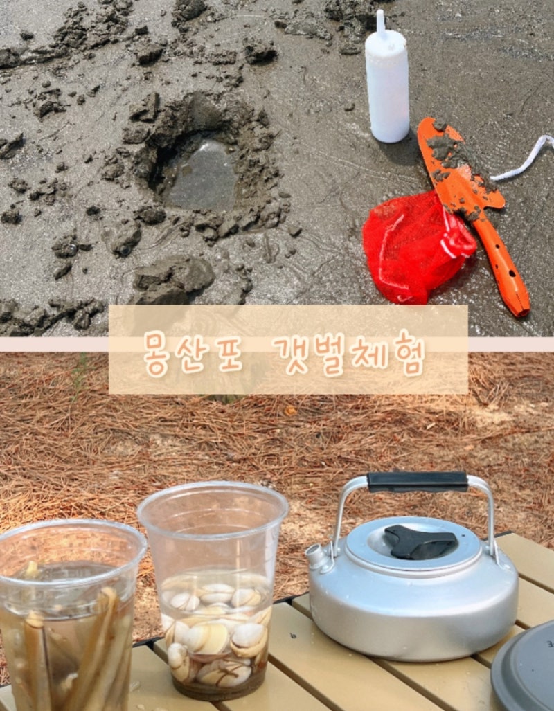 태안) 갯벌 체험하러 간 몽산포 야영장 예약 후기 ✔️ (주차/준비물/꿀팁✨)