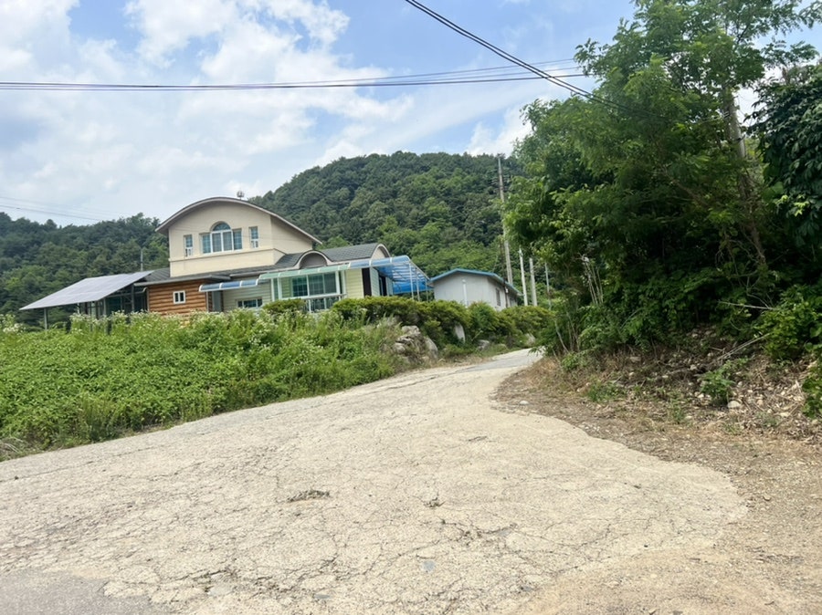 다들림막국수 사진 1