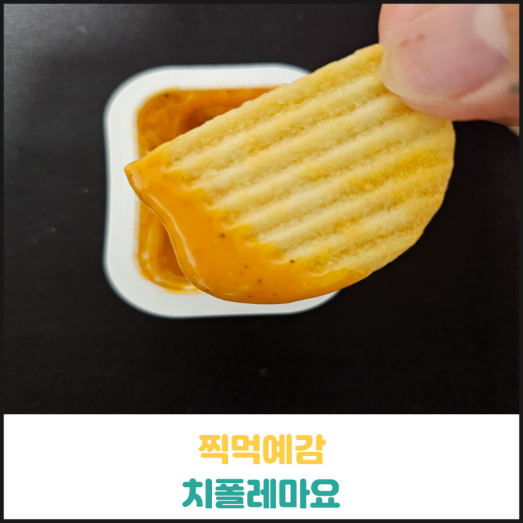 찍먹예감 치폴레마요 후기 찍먹예감 치폴레마요 후기