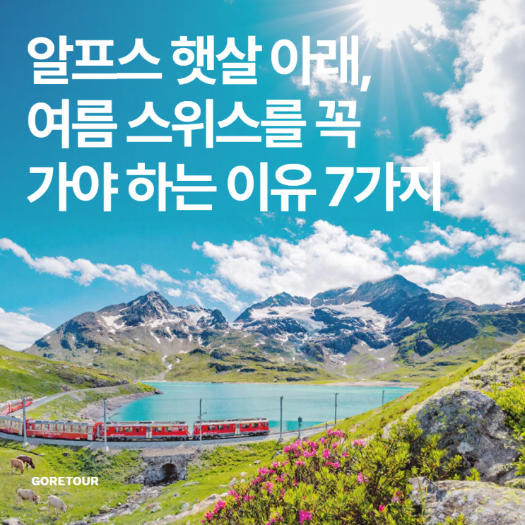  알프스 햇살 아래, 여름 스위스를 꼭 가야 하는 이유 7가지