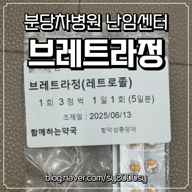 분당차병원 난임센터 페마라정 vs 브레트라정 차이 / 신소연 교수님