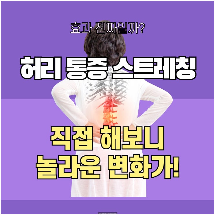  허리 통증 스트레칭 효과 진짜일까? 직접 해보니 놀라운 변화가!