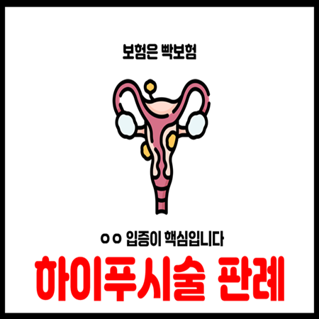  자궁근종 자궁선근증 하이푸 시술치료 입원실손보험 판결 정리