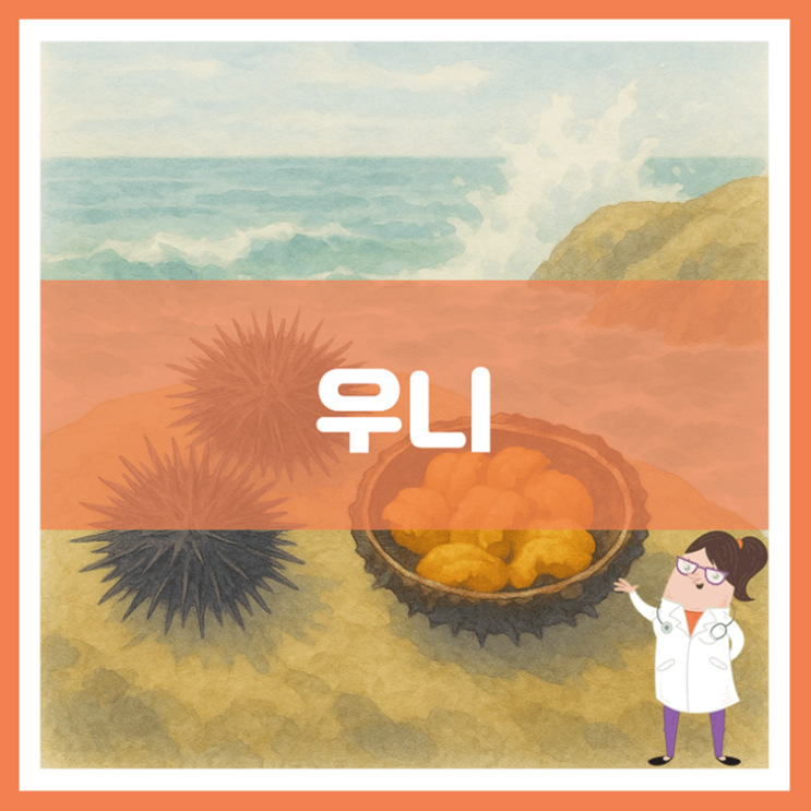  우니 효능 부작용 보관방법