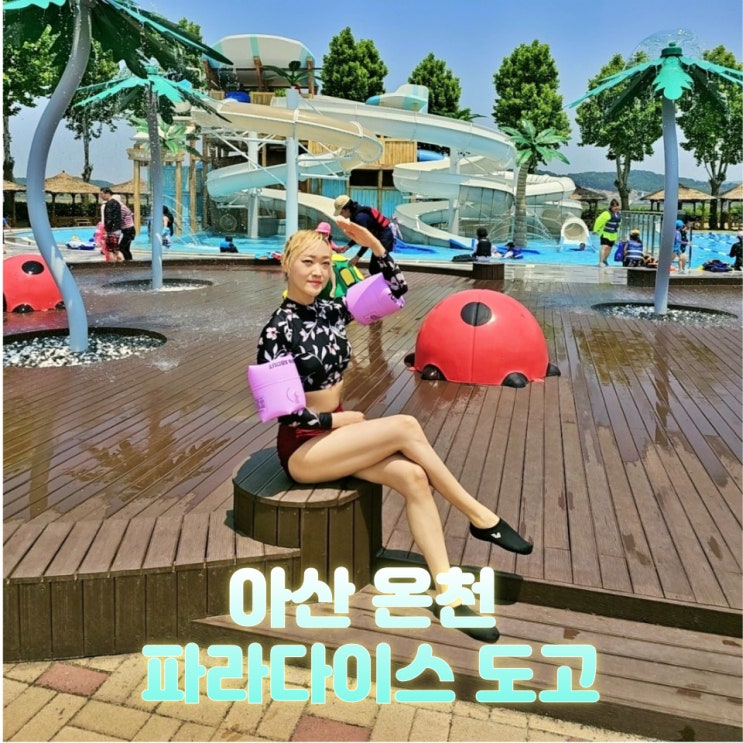  아산 파라다이스스파도고 온천 스파 워터파크 할인 총정리
