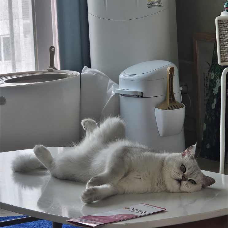  아기와 고양이, 함께 살아도 될까?(저희 집 고양이 보고 가세요)