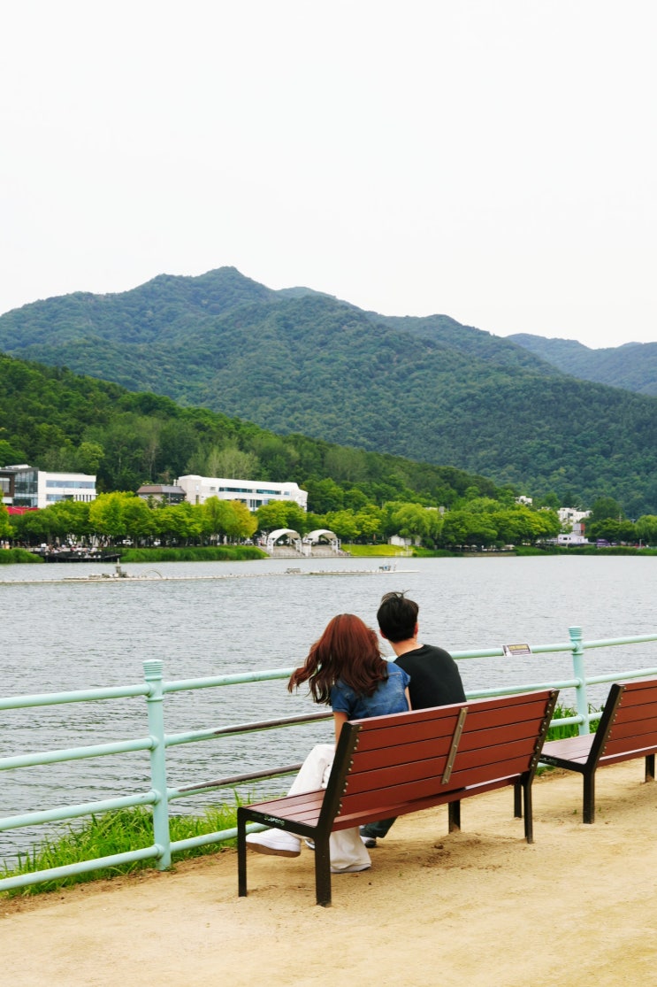 대구 수성못 주차 꿀팁, 여름 야경 수성못 산책 코스