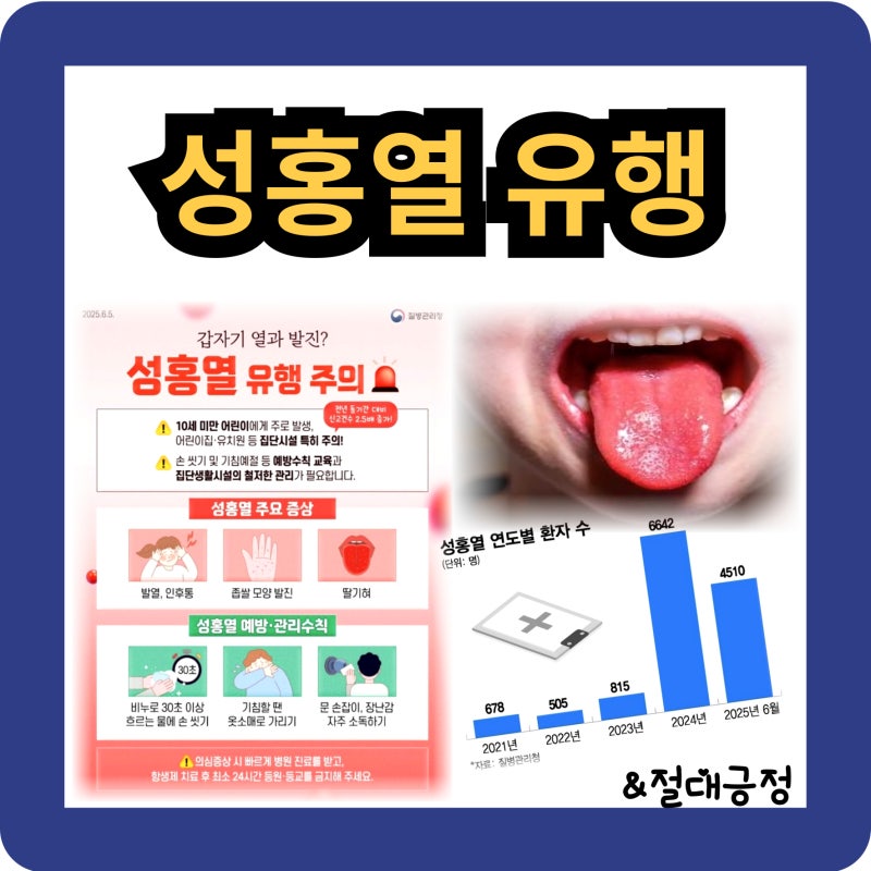 2025년 성홍열 유행 주의! 증상 및 치료방법, 잠복기, 격리기간