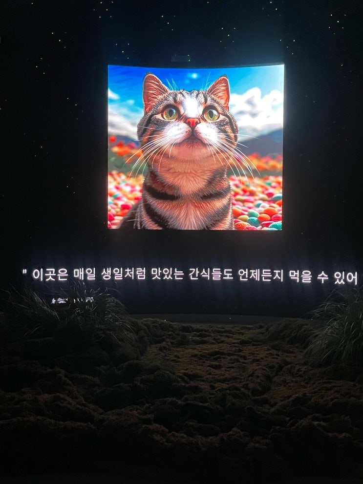  나의 사랑 반려동물 밤비를 위한 몽몽이시네마