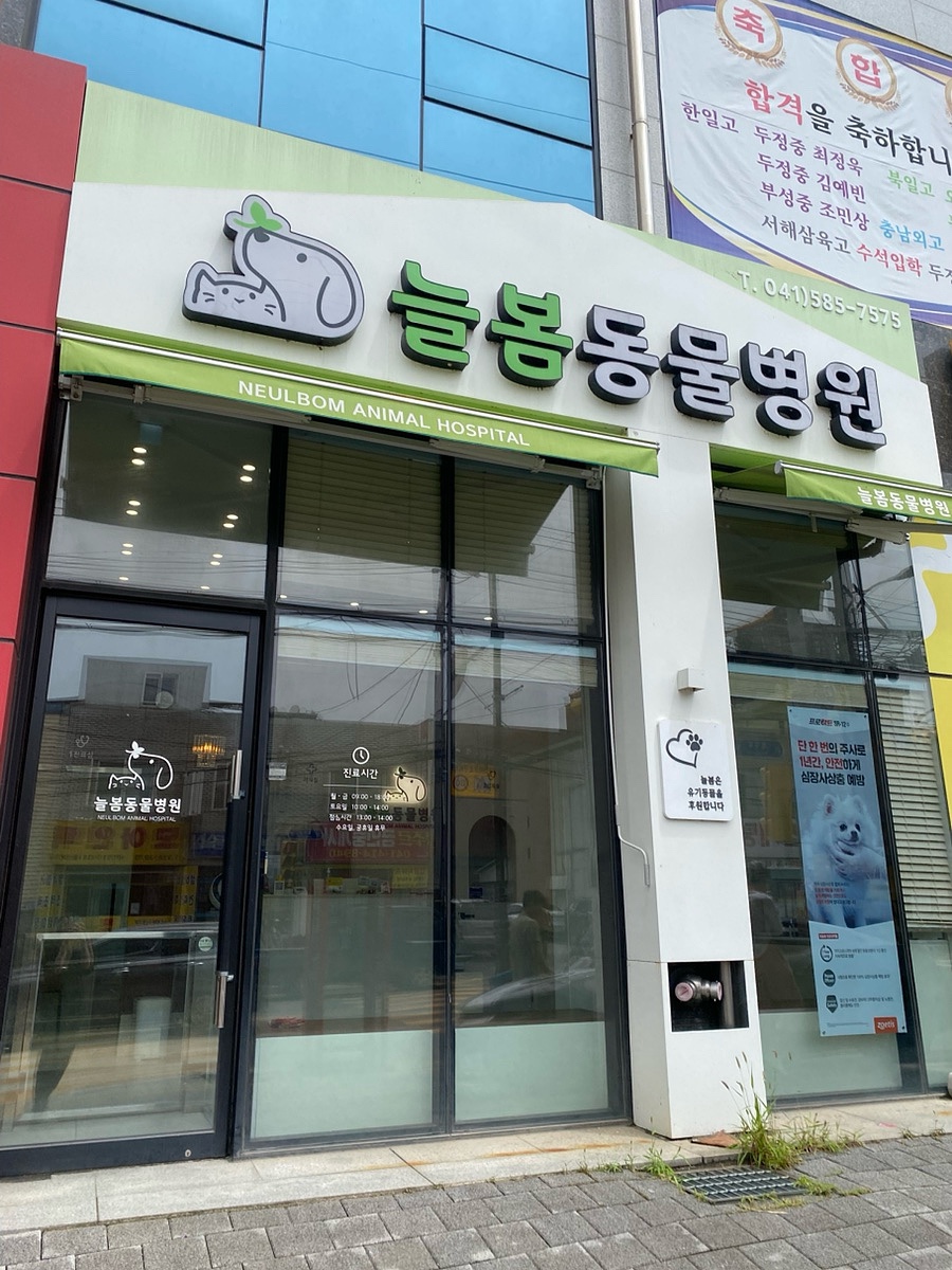 늘봄동물병원 사진 3