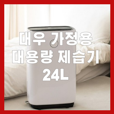  압도적 제습력 대우 가정용 대용량 제습기 24L 실사용 요약 리뷰